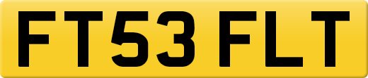 FT53FLT